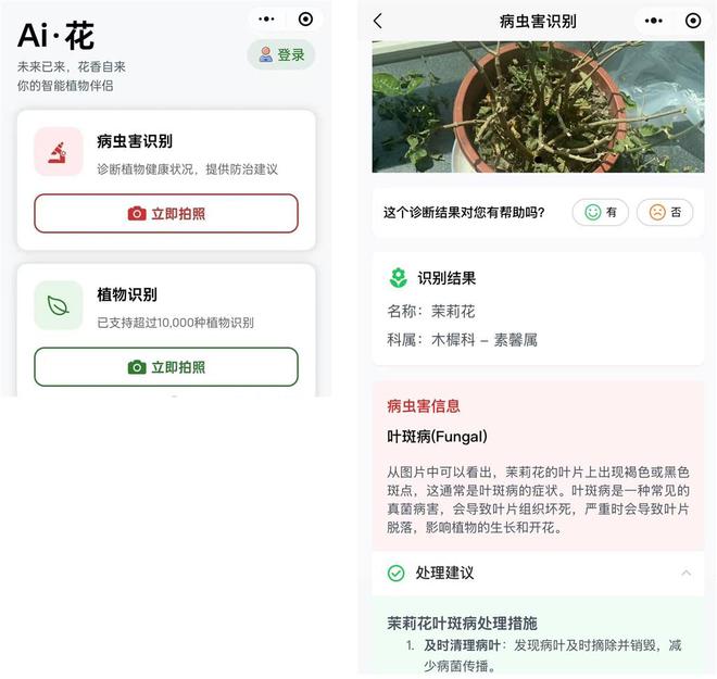 中国国际花卉园艺展在沪开幕：AI为植物“治病威廉希尔”网红热植折射“鲜花经济”新潮流(图2)