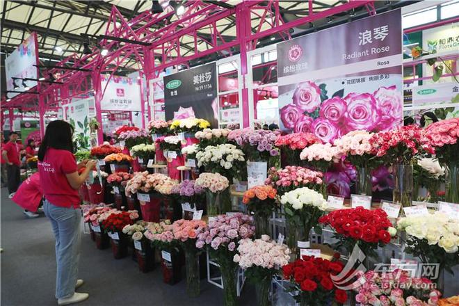 中国国际花卉园艺展在沪开幕：AI为植物“治病威廉希尔”网红热植折射“鲜花经济”新潮流(图3)