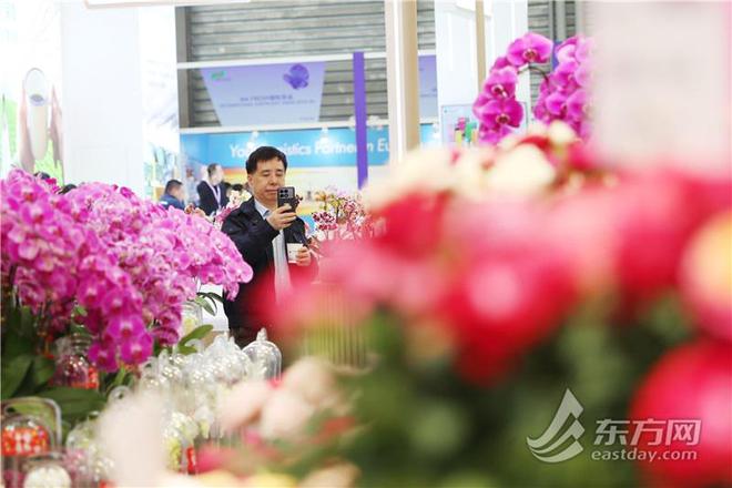 中国国际花卉园艺展在沪开幕：AI为植物“治病威廉希尔”网红热植折射“鲜花经济”新潮流(图8)