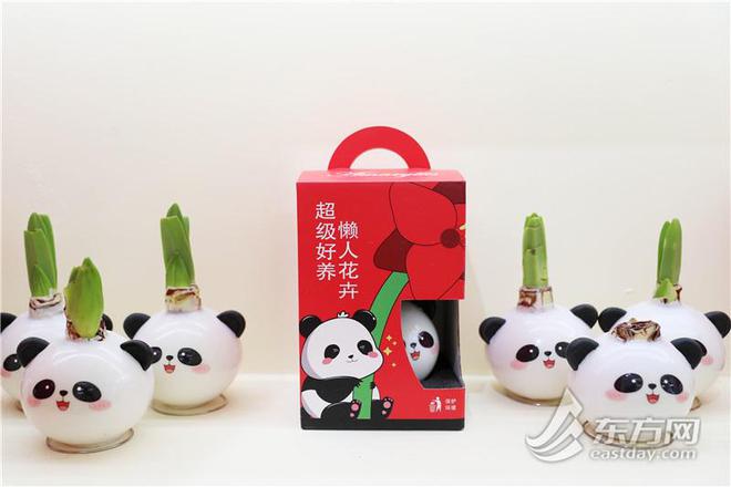中国国际花卉园艺展在沪开幕：AI为植物“治病威廉希尔”网红热植折射“鲜花经济”新潮流(图6)