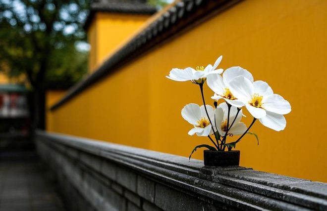 与人聊天以下三件事最好少谈以免福报漏尽！(图2)