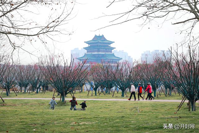 开封2025年赏花地图请查收!(图6)