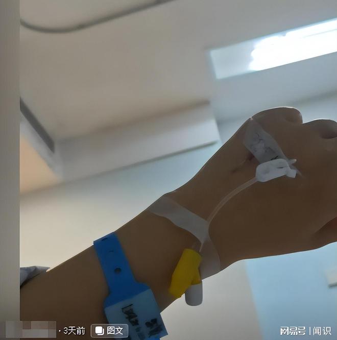 “夹竹桃花”提拉米苏使200人发烧住院老板娘这回完犊子了(图4)