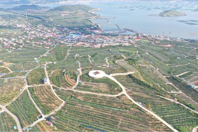 ꕥ这也太美了吧ꕥ金普最新「寻花地图」请收好→(图5)