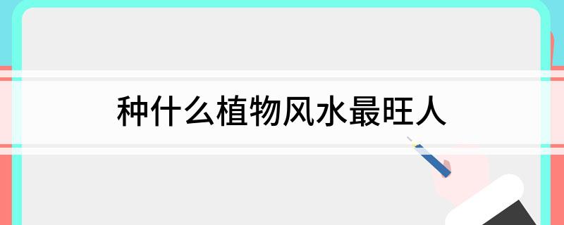 种什么植物风水最旺人(图1)