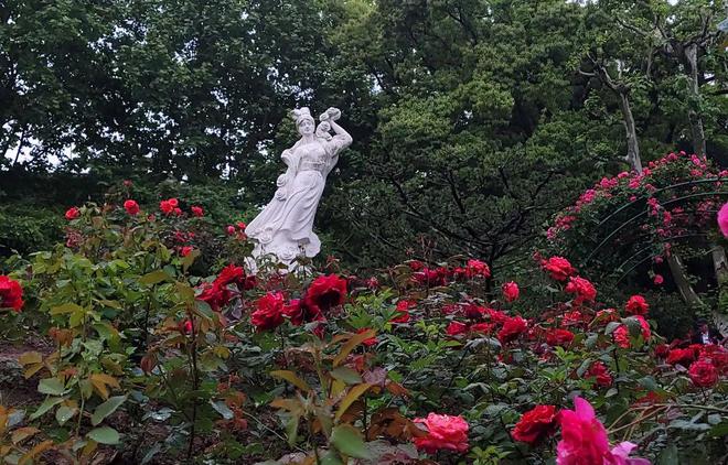 申城公园5月花展、活动预告来啦！带你玩转“花花世界”→(图5)