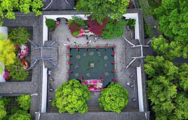 申城公园5月花展、活动预告来啦！带你玩转“花花世界”→(图6)