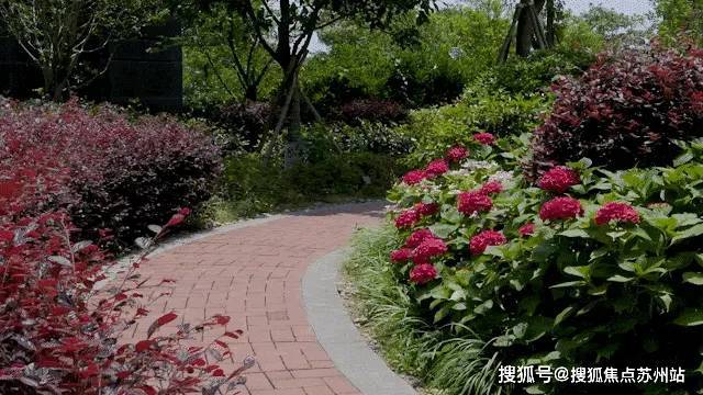 威廉希尔洋江唐顿公馆(售楼处)-洋江唐顿公馆售楼中心首页网站丨2025欢迎您丨最新楼盘详情(图9)