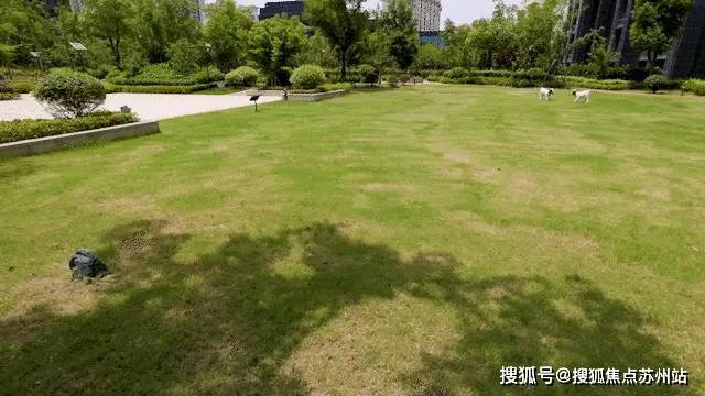 威廉希尔洋江唐顿公馆(售楼处)-洋江唐顿公馆售楼中心首页网站丨2025欢迎您丨最新楼盘详情(图11)