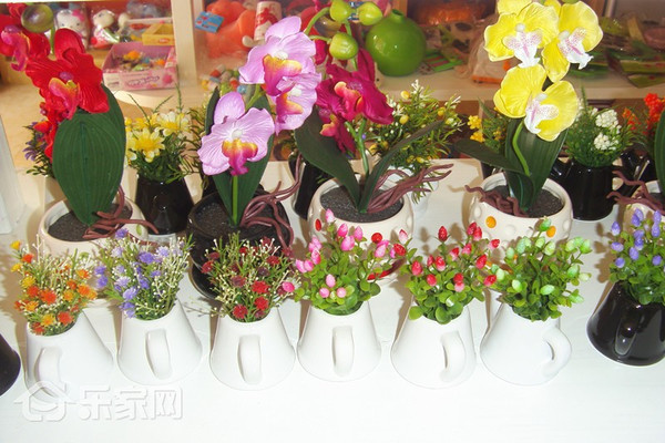 不得不说的植物风水：家居盆栽8大风水讲究(图3)
