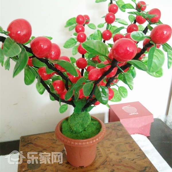 不得不说的植物风水：家居盆栽8大风水讲究(图4)
