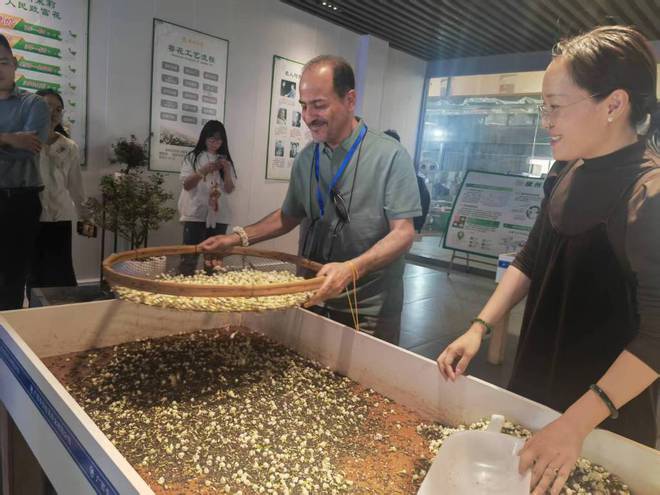 中国茉威廉希尔WilliamHill莉花之乡供不应求：新式茶饮风行吸引更多年轻人消费(图3)