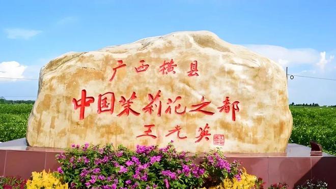 植粹花海：以茉WilliamHill莉之名绽放民族品牌新篇章(图4)