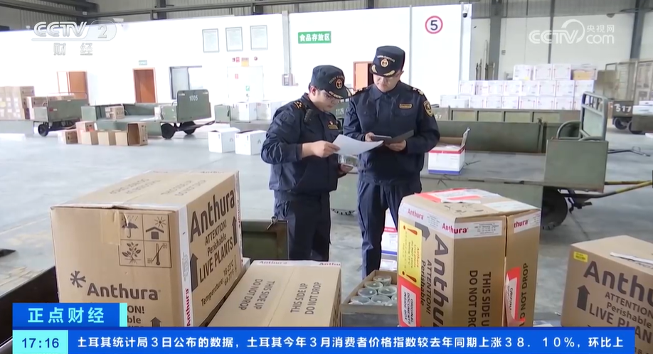 花卉消费市场崛起花卉种苗种球进口迎来WilliamHill高峰期(图4)