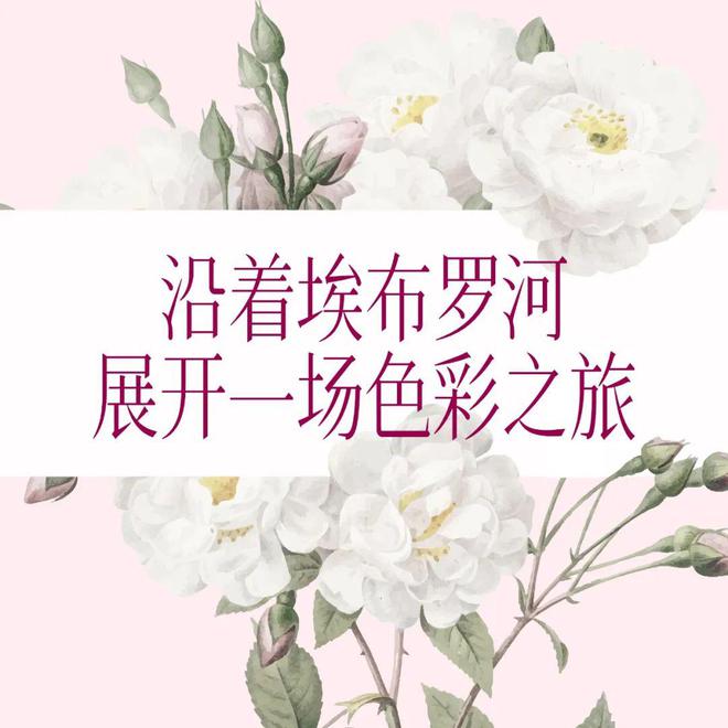 不是每场春天都要去日本威廉希尔WilliamHill有一种浪漫叫西班牙花海(图5)
