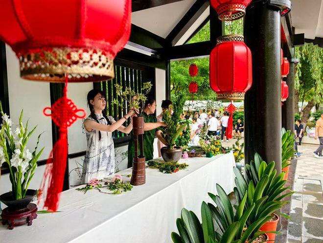 长春君子兰文化主题展启幕以花为媒唤醒城市记忆(图3)