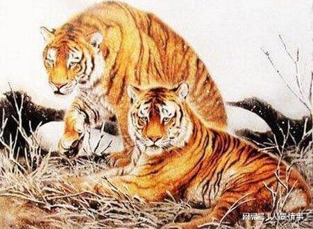 天降大喜3生肖喜事接踵而至威廉希尔机遇降临富贵牢牢抓在手中(图3)