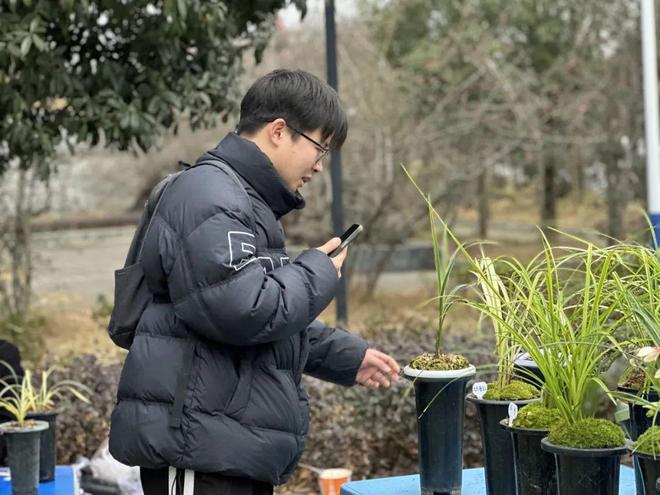 这抹兰香有“颜”又有“值”！(图6)