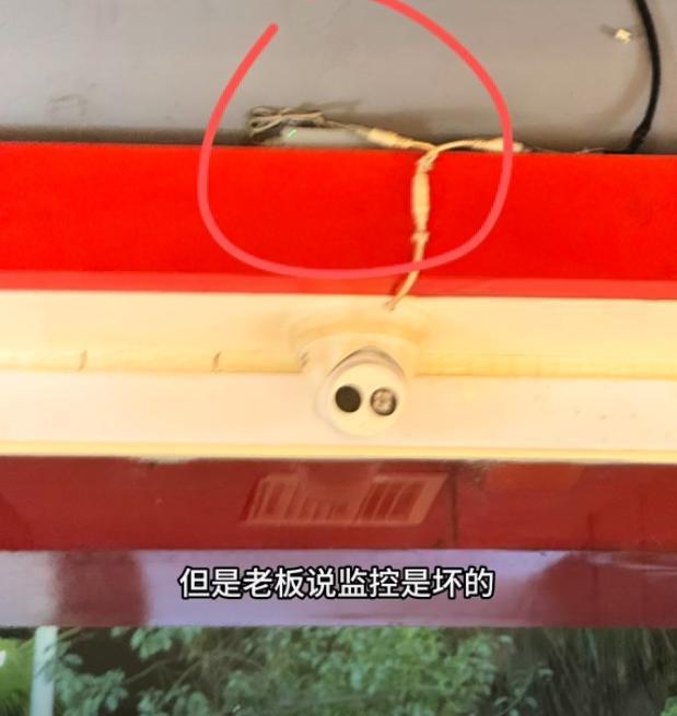 火锅店疑打死金毛后续！店主已赔偿狗主息事宁人舆论两极反转(图5)