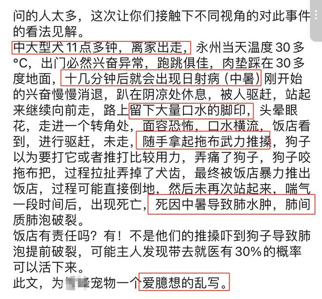 火锅店疑打死金毛后续！店主已赔偿狗主息事宁人舆论两极反转(图20)