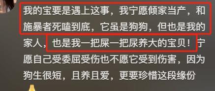 火锅店疑打死金毛后续！店主已赔偿狗主息事宁人舆论两极反转(图18)