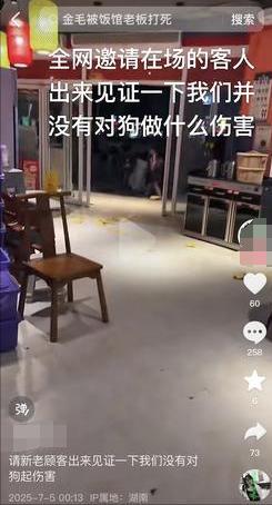 火锅店疑打死金毛后续！店主已赔偿狗主息事宁人舆论两极反转(图22)