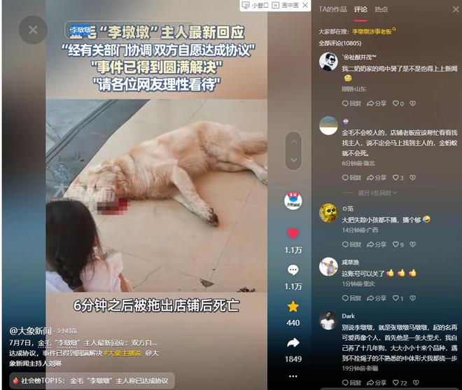 火锅店疑打死金毛后续！店主已赔偿狗主息事宁人舆论两极反转(图25)