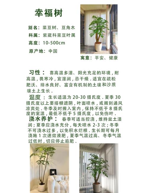 树木花卉的风水作用与禁忌花草风水作用大全(图1)