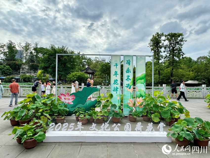 威廉希尔WilliamHill暴雨后的意外美好：成都追花热似火(图1)