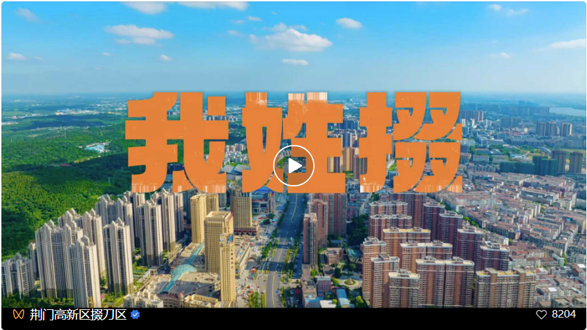 威廉希尔从不可能到一定能解锁荆门高新区掇刀区产业逆袭的硬核密码(图16)