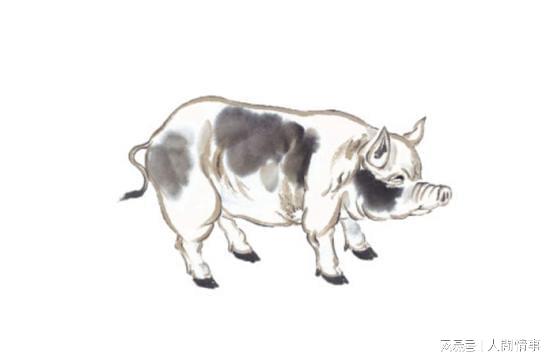 7月喜从天降诸事皆顺3生肖生财有道赚钱能力开挂(图2)
