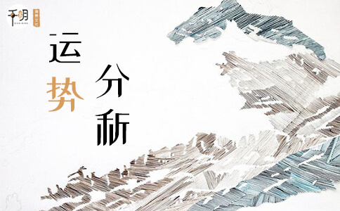 风水中最招财的植物有哪些这几个你一定要知道！(图1)
