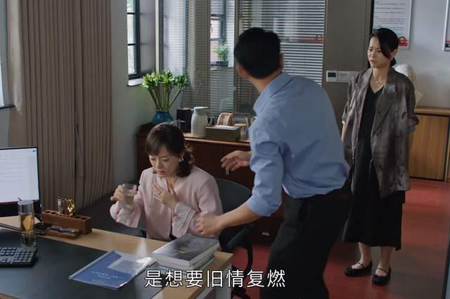 《蛮好的人生》大结局：邱丽苏破产、早产胡曼黎爱情事业双丰收威廉希尔WilliamHill(图2)