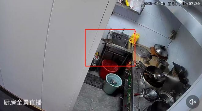 洞头这家店厨房惊现大老鼠！后续来了！(图1)