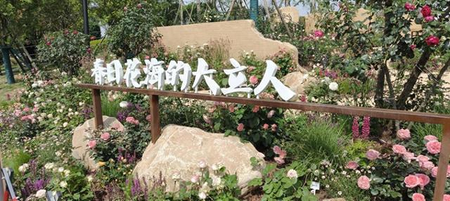 相约三星湖·月季映古蜀”德阳市花月季展盛绽广汉(图1)