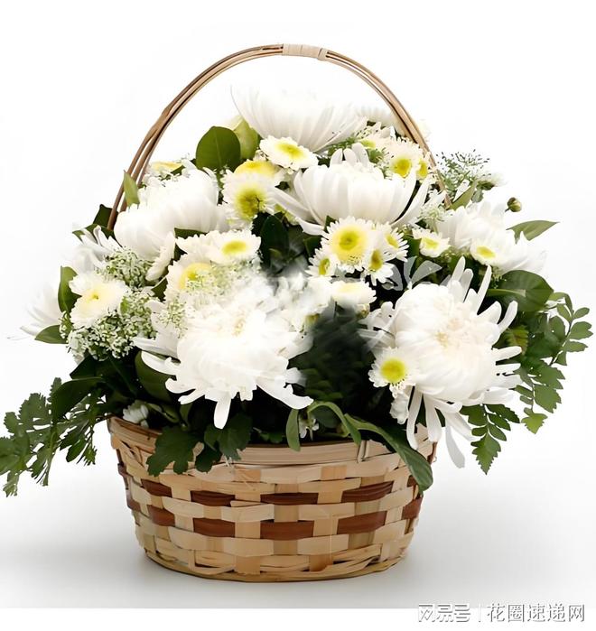 合肥市殡仪馆花圈花篮选择指南传递哀思与缅怀(图1)