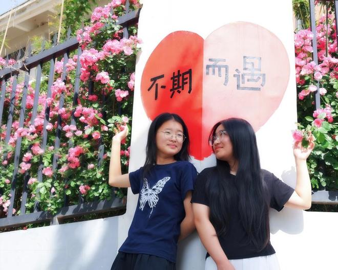 学校蔷薇花墙盛开满城飘香成五一“顶流”打卡地(图3)
