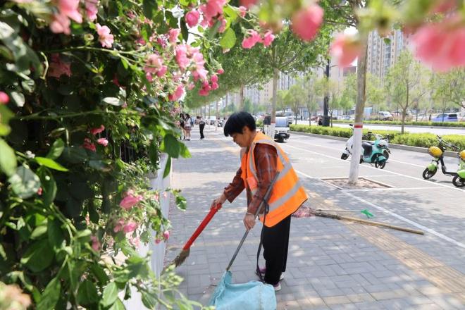 学校蔷薇花墙盛开满城飘香成五一“顶流”打卡地(图9)