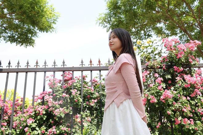 学校蔷薇花墙盛开满城飘香成五一“顶流”打卡地(图11)