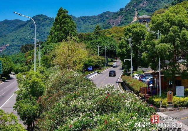 福州气温将飙35℃！这种带毒花卉千万别靠近(图5)