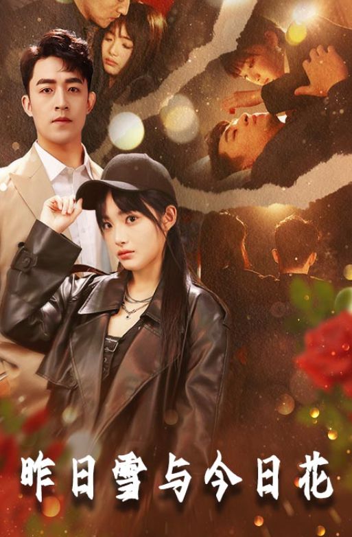 威廉希尔WilliamHill后续《昨日雪与今日花》精彩热播大结局完整版(图1)